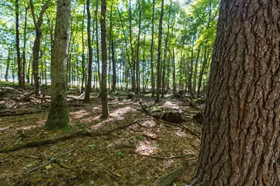 Lot7 815th Avenue, Menomonie, WI 54751 - Photo 11
