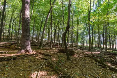 Lot7 815th Avenue, Menomonie, WI 54751 - Photo 13