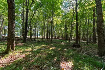 Lot7 815th Avenue, Menomonie, WI 54751 - Photo 7