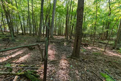 Lot7 815th Avenue, Menomonie, WI 54751 - Photo 15