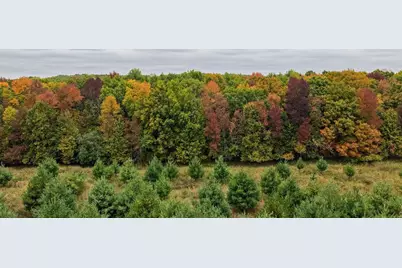 County Line Ave. Tbd, Clear Lake, WI 54005 - Photo 5