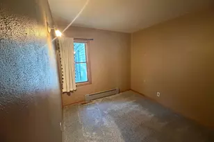 113 W 6th St, Adrian, MN 56110 - Photo 5