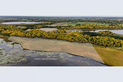 Tbd 460th St, Gonvick, MN 56644 - Photo 7