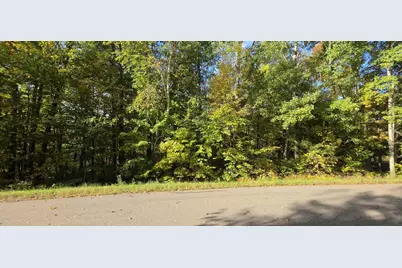 Tbd Easy Street, Cushing, MN 56443 - Photo 1