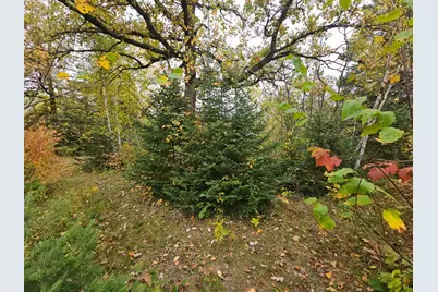 Tbd 170th Lane, Mcgrath, MN 56350 - Photo 7