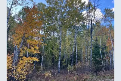 Tbd Lost Lake Rd., Tower, MN 55790 - Photo 13