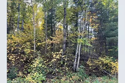 Tbd Lost Lake Rd., Tower, MN 55790 - Photo 11