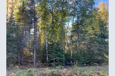 Tbd Lost Lake Rd., Tower, MN 55790 - Photo 9