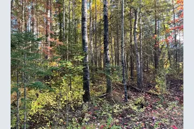 Tbd Lost Lake Rd., Tower, MN 55790 - Photo 5