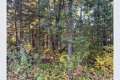 Tbd Lost Lake Rd., Tower, MN 55790 - Photo 3