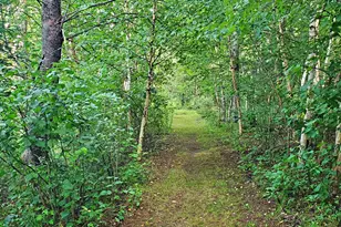 18130 County 18, Park Rapids, MN 56470 - Photo 49