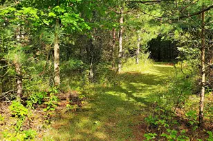 18130 County 18, Park Rapids, MN 56470 - Photo 51