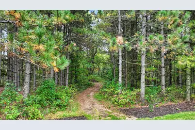 S9165 Lowes Creek Road, Eleva, WI 54738 - Photo 47