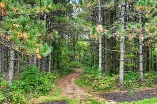 S9165 Lowes Creek Rd, Eleva, WI 54738 - Photo 47