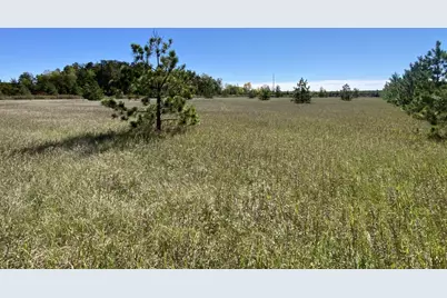 Tbd Crooked River Dr - Tract D, Park Rapids, MN 56470 - Photo 3