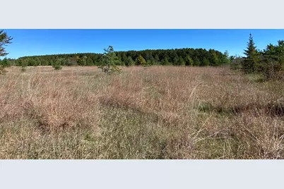 Tbd State Hwy 87 - Lot 1, Park Rapids, MN 56470 - Photo 5