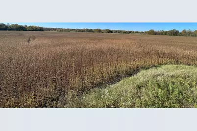 11763 546th Street, Gonvick, MN 56644 - Photo 47