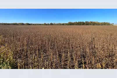 11763 546th Street, Gonvick, MN 56644 - Photo 39