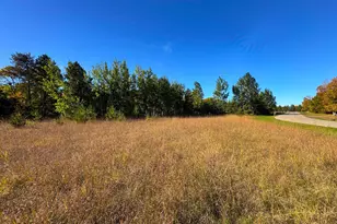 Tbd Golf View Dr NE, Bemidji, MN 56601 - Photo 1
