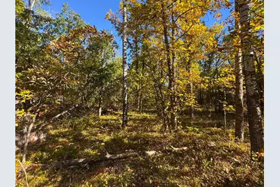 Tbd Golf View Drive NE, Bemidji, MN 56601 - Photo 7