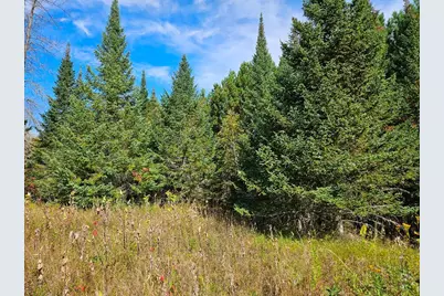 Lt 3 Blk 1 County Rd 238, Deer River, MN 56636 - Photo 7