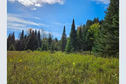 Lt 3 Blk 1 County Rd 238, Deer River, MN 56636 - Photo 5