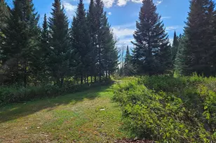 Lt 3 Blk 1 County Rd 238, Deer River, MN 56636 - Photo 1