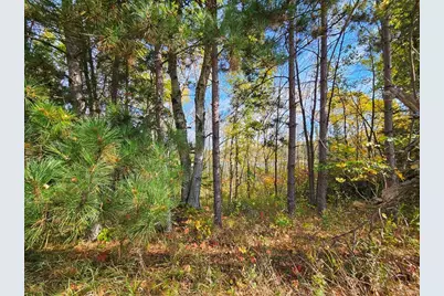 Lt 3 Blk 1 County Rd 238, Deer River, MN 56636 - Photo 9