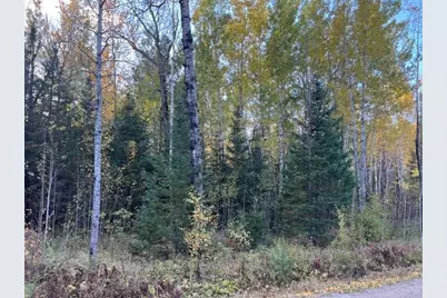 Tbd S Loon Lake Rd., Aurora, MN 55705 - Photo 13