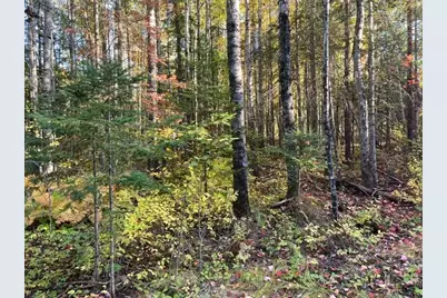 Tbd S Loon Lake Rd., Aurora, MN 55705 - Photo 5