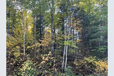 Tbd S Loon Lake Rd., Aurora, MN 55705 - Photo 11