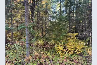 Tbd S Loon Lake Rd., Aurora, MN 55705 - Photo 3