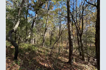 Tbd Delong Road, Somerset, WI 54020 - Photo 15