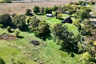 29930 147th St, Dalton, MN 56324 - Photo 39