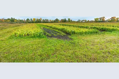 23727 County Highway 65, Henning, MN 56551 - Photo 39