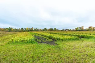 23727 Co Hwy 65, Henning, MN 56551 - Photo 39