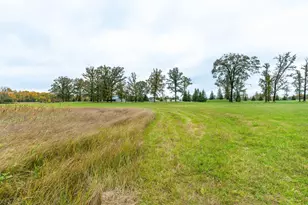 23727 Co Hwy 65, Henning, MN 56551 - Photo 41