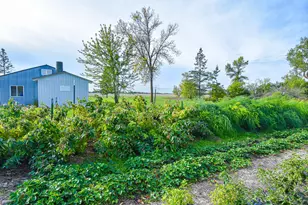 14709 110th St SW, Red Lake Falls, MN 56750 - Photo 51