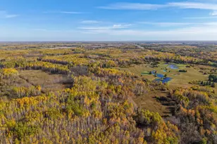 28465 Hwy 71 NE, Blackduck, MN 56630 - Photo 3