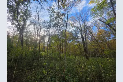 Tbd 300th St, Henderson, MN 56044 - Photo 11