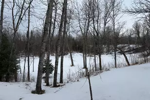 1736 67th St SW, Baudette, MN 56623 - Photo 23