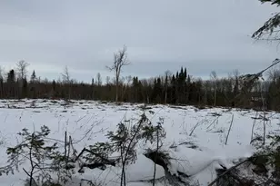 1736 67th St SW, Baudette, MN 56623 - Photo 21