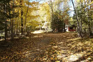 41748 Teal Rd, Bigfork, MN 56628 - Photo 3