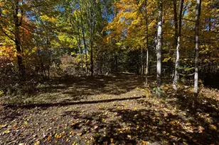 41748 Teal Rd, Bigfork, MN 56628 - Photo 19