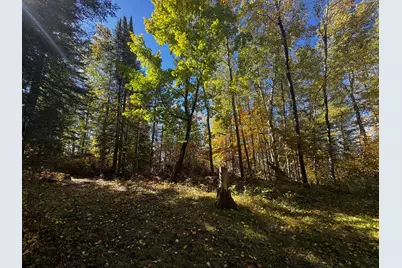 41748 Teal Rd, Bigfork, MN 56628 - Photo 23