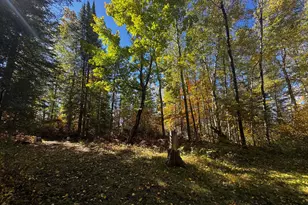 41748 Teal Rd, Bigfork, MN 56628 - Photo 23