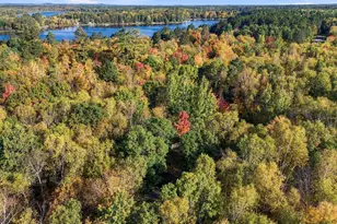 36172 Bonnie Lakes Rd, Crosslake, MN 56442 - Photo 29