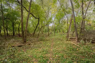 53 River Ct NE, Rochester, MN 55906 - Photo 51