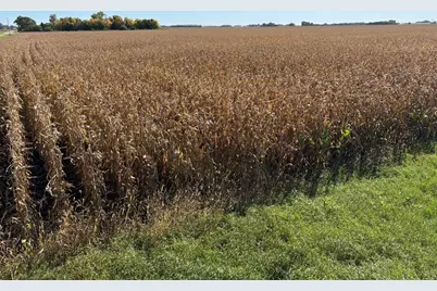 Tbd 540th Avenue, Wells, MN 56097 - Photo 15