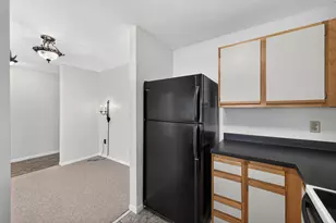 455 Dayton Ave, Saint Paul, MN 55102 - Photo 17